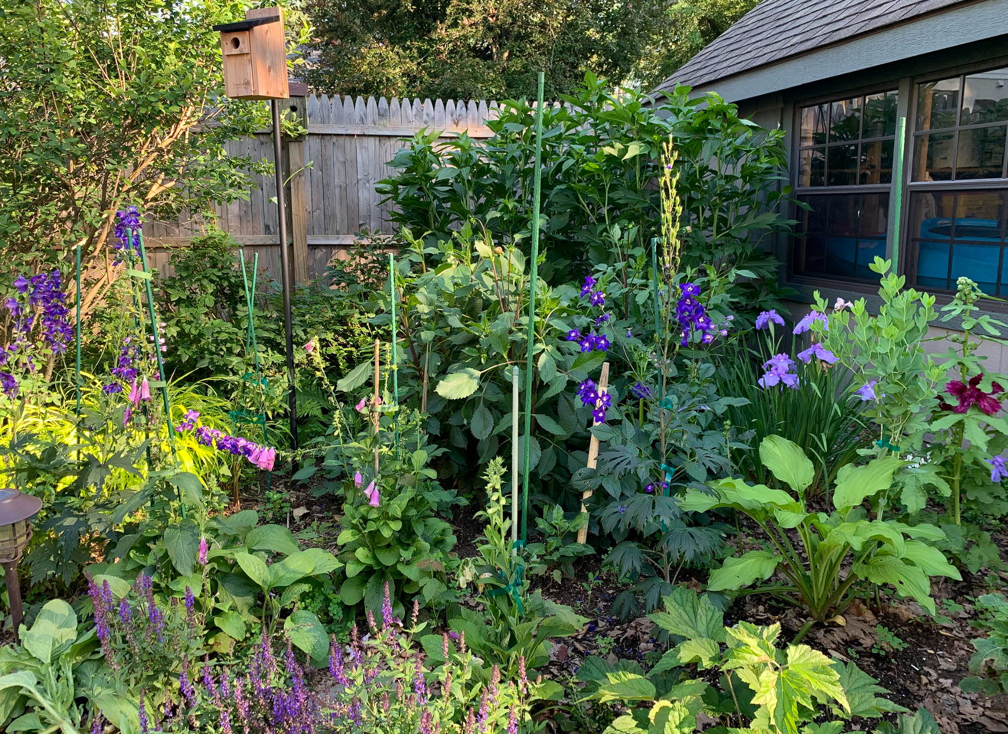 Cathy Lane Garden