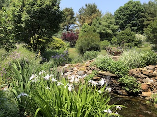 Drinkwater Garden