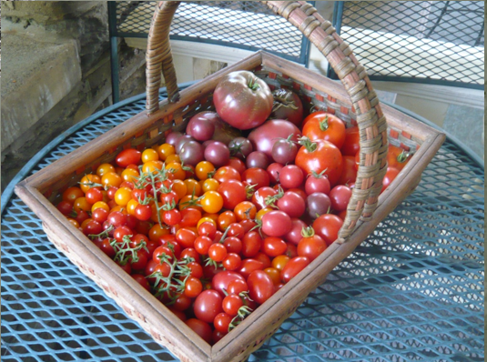 Summer's bounty at C. W. Henry School