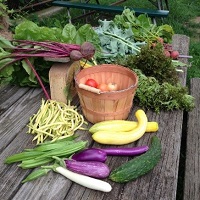 Fall harvest at the C. W. Henry School