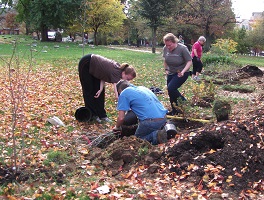 Planting at Historic Fair Hill