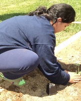 Horn Farm Center - Girl planting