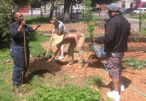 Planting at Historic Fair Hill