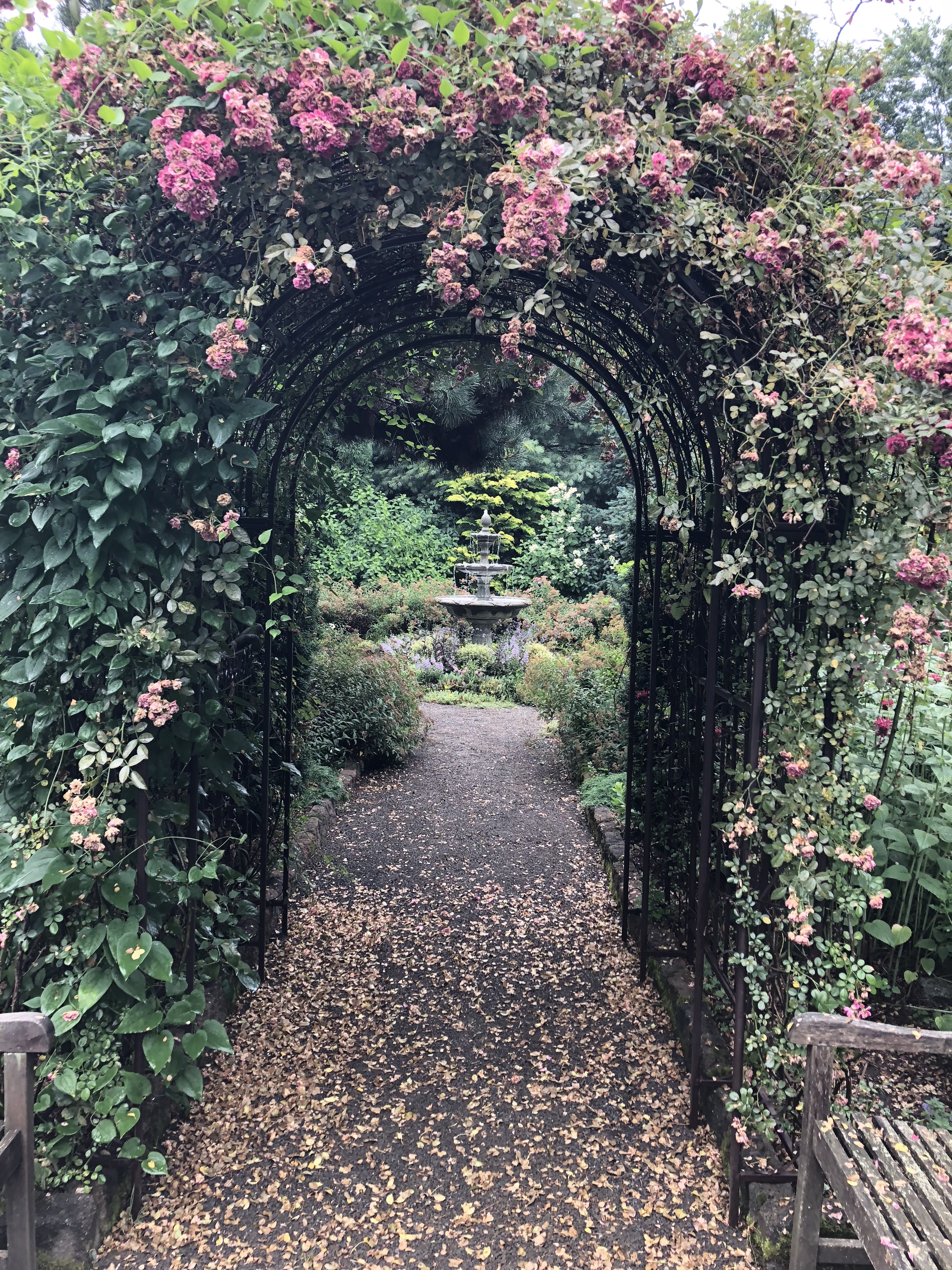 2019 Greater Hartford Garden Tour